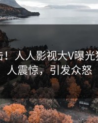 实时直击！人人影视大V曝光猛料，令人震惊，引发众怒