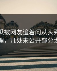 爆料吃瓜被网友追着问从头到尾被重新梳理，几处未公开部分太扎眼