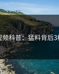樱花视频科普：猛料背后3种类型